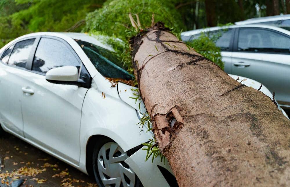 daños propios en un seguro de coche